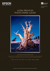 product Epson Premium Photo Luster Inkjet Paper - 260gsm 60 in. x 100 ft. Roll